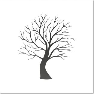 Tree without Leaves Posters and Art